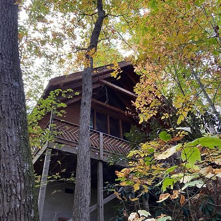 Above Ole Smokys Clouds Villa Gatlinburg Dış mekan fotoğraf